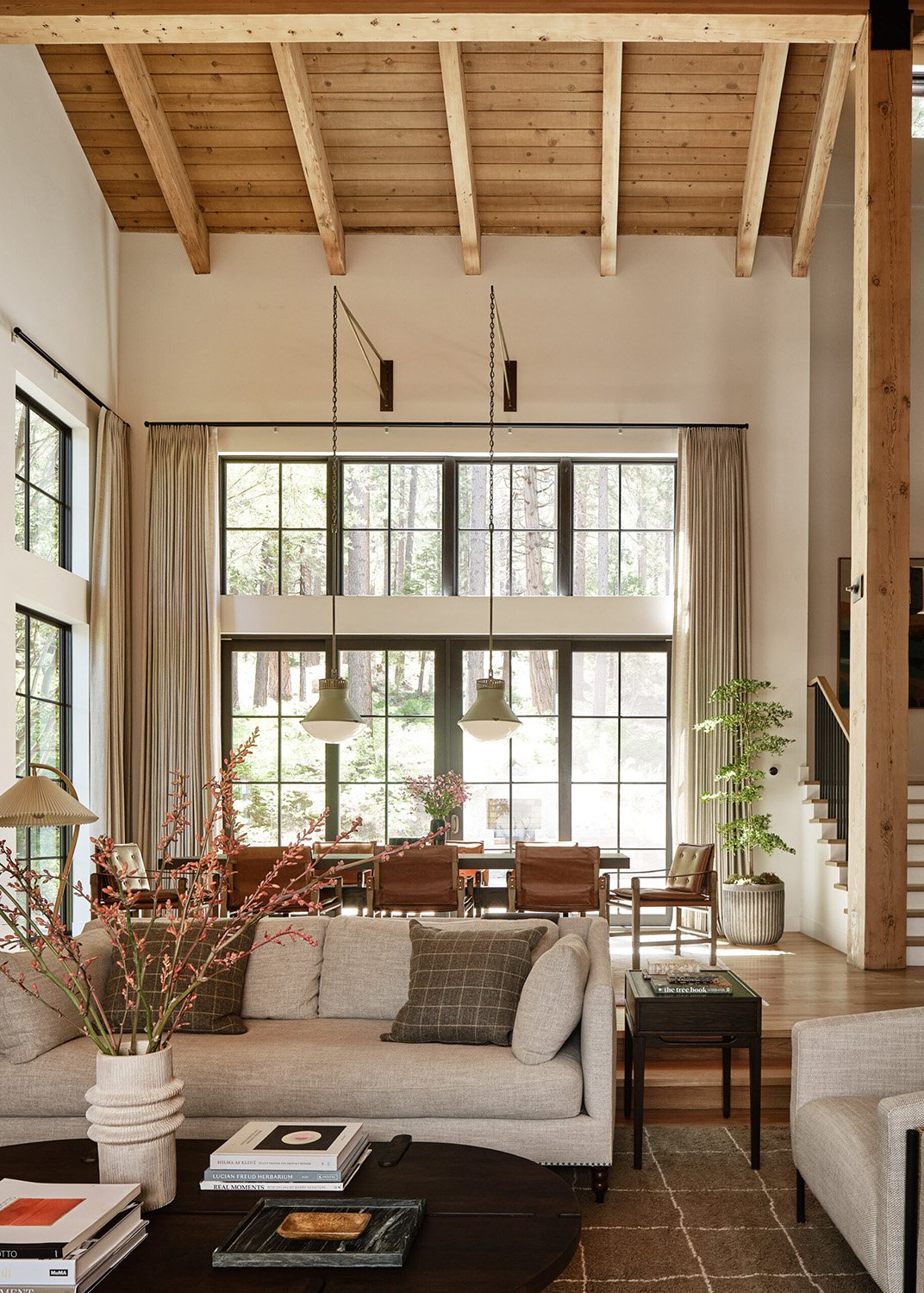 Modern Rustic Style Living Room with Vaulted Ceiling