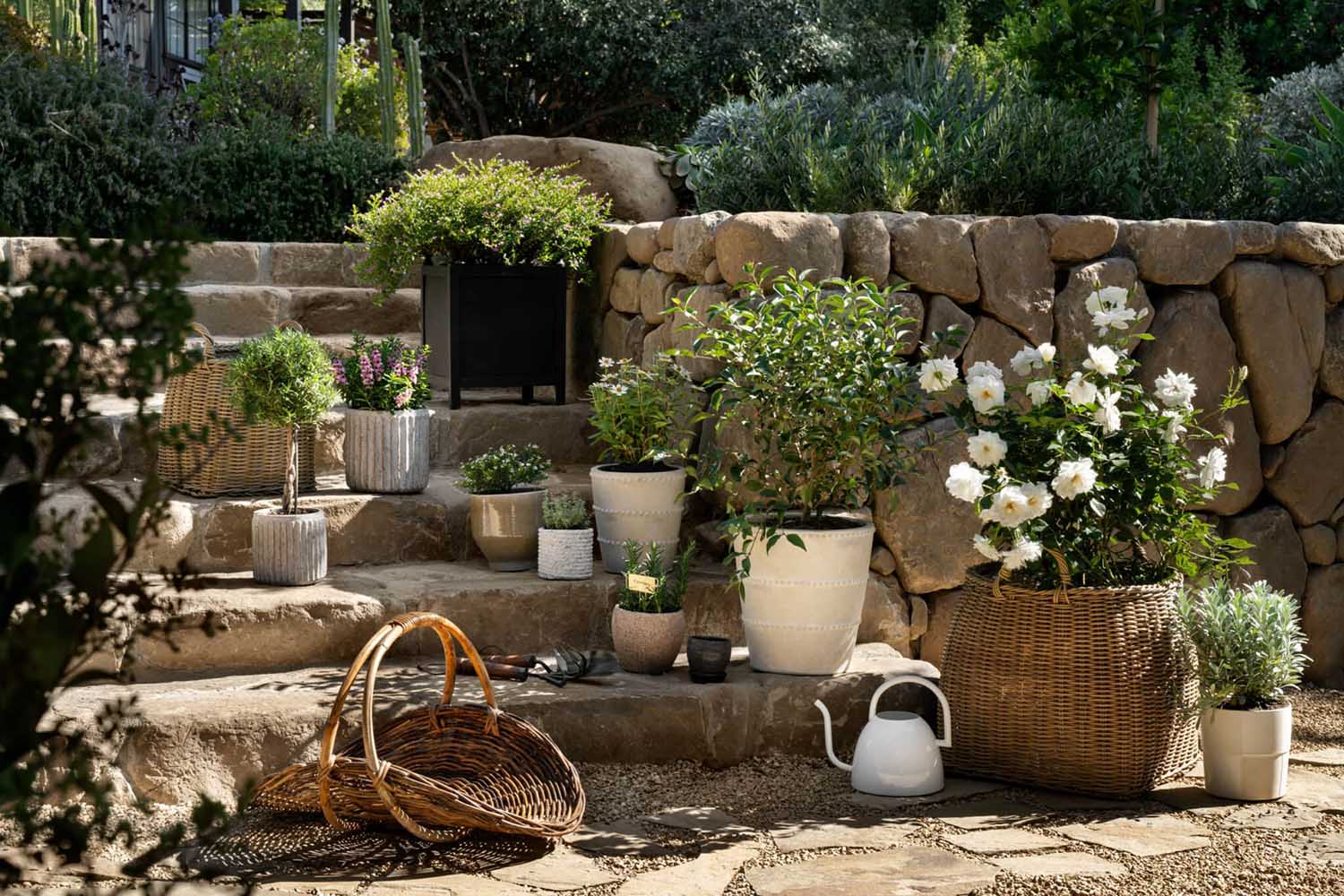 outdoor-plants-and-stands Outdoor Plants and Stands