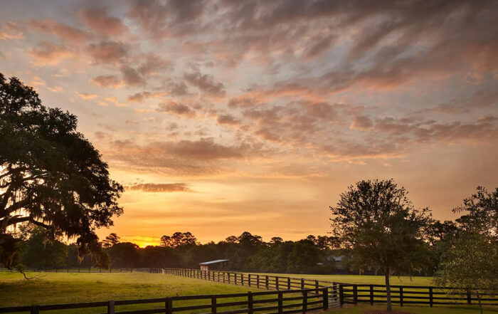 Country Home Tour