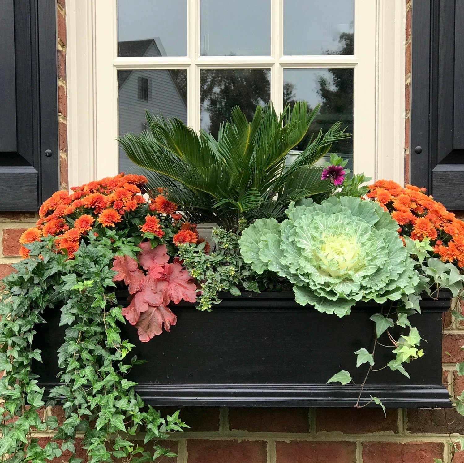 fall-window-box Fall Window Box