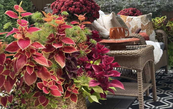 Fall Outdoor Decorating Ideas