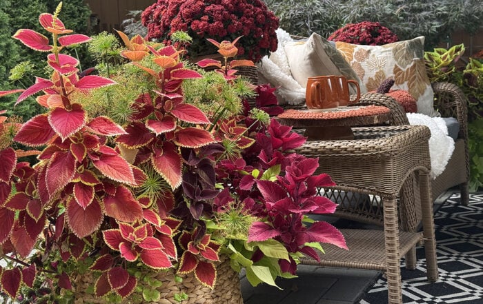 Fall Outdoor Decorating Ideas