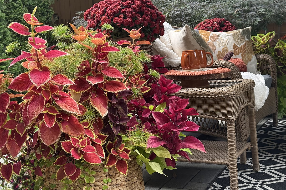 Fall Outdoor Decorating Ideas