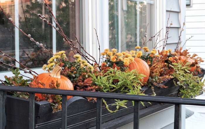 Fall Container Gardening Ideas
