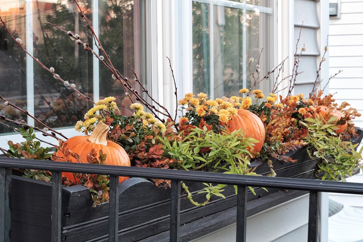 Fall Container Gardening Ideas