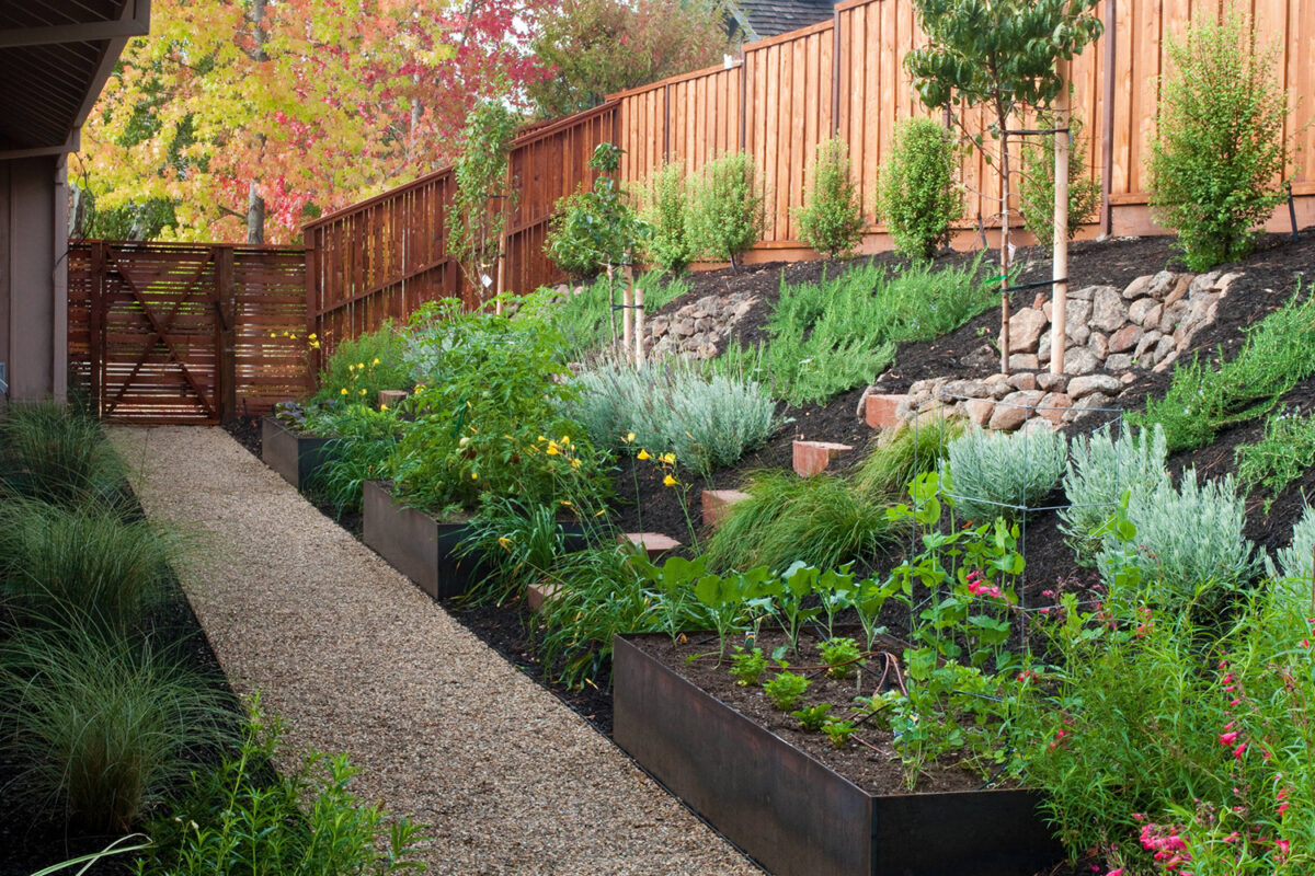 27 Raised Garden Bed Ideas to Transform Your Outdoor Space